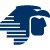 5D-v-25305