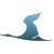 JS-v-39531