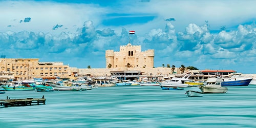 Riyadh - Alexandria