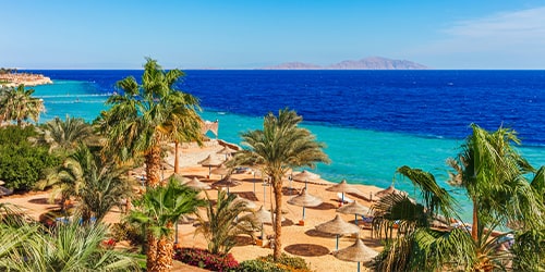 Riyadh - Sharm El Sheikh